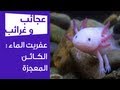 عجائب و غرائب | عفريت الماء : الكائن المعجزة