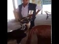 بالفيديو.. عنزة تزور مطعماً وتطلب " كوكا كولا "