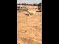 فيديو: أفعى تقتل ناقة في دقيقة واحدة