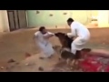 بالفيديو.."دعابة كلب" بين شباب كادت تؤدي إلى مأساة