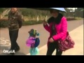 شاهد كلب بالزي المدرسي ويسير علي قدميه