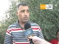 حقيقة الخروف ذات رأس إنسان