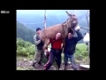 بالفيديو : شاب يثبت قوته بحمله حماراً