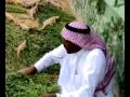 شخص يربي الضبان
