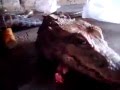 شاهد ماذا يحدث للتمساح بعد قطع رأسه – فيديو