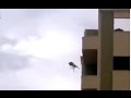 فيديو كلب بلدي يقفز من الطابق الرابع ويهبط سالمًا