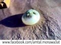 تصوير مخلوق غريب على شكل رأس إنسان، سبحان الله